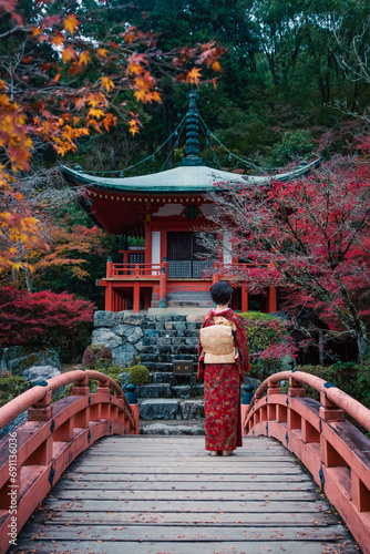 japanese temple and a geisha