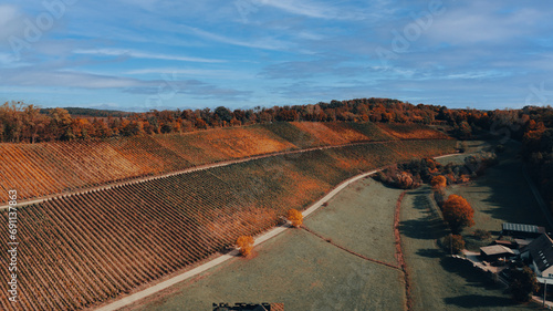Wunderschöner Herbstlicher Weinberg 