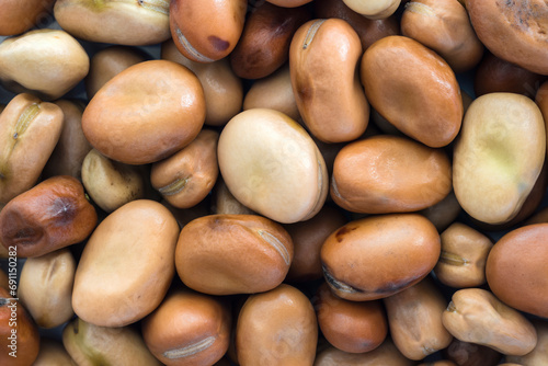 Close-up detail and texture of fava beans, top view