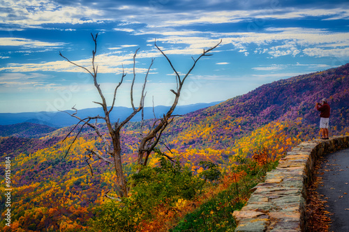 Fotografie Very Moody Autumn shot of a dead tree at one of the lookouts along Skyline Drive in VA