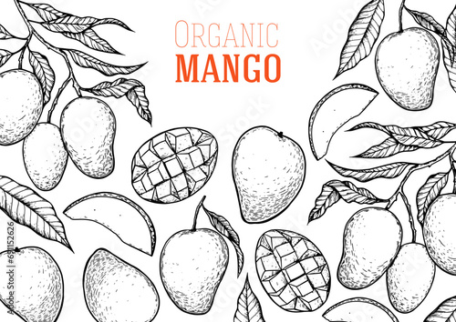Ripe mango sketch. Hand drawn vector illustration. Tropical fruit. Packaging design, menu design, juice packaging. Mango frame.