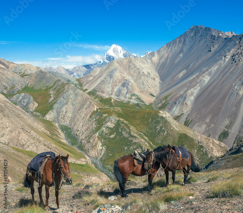 Foto Three horses of local breed are standing on rocky trail in the mountains