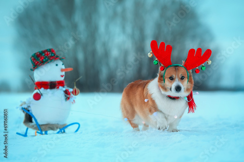 ew Year's card with a cute Christmas corgi in reindeer horns carrying a sleigh with a snowman in a winter snowy park
