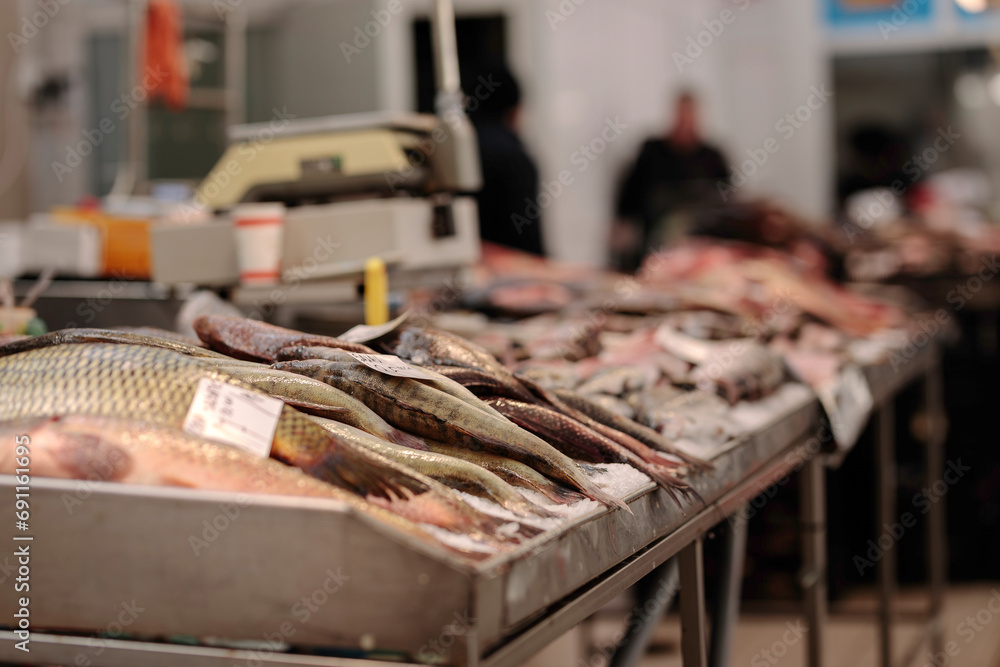 A Colorful Display of Freshly Caught Fish on a Rustic Wooden Table A Colorful Display of Freshly Caught Fish on a Rustic Wooden Table