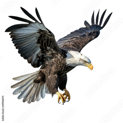 a Bald eagle in-flight, 3/4/side view, isolated and transparent PNG in a Nature-themed, photorealistic illustration. Generative ai