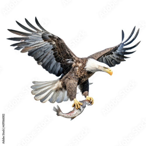 a Bald eagle with a fish in its talons, 3/4/side view, isolated and transparent PNG in a Nature-themed, photorealistic illustration. Generative ai