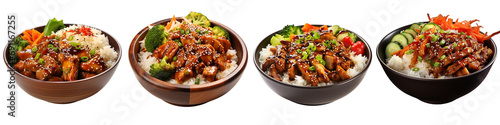 Chicken Teriyaki Bowl with Rice Hyperrealistic Highly Detailed Isolated On Transparent Background Png File