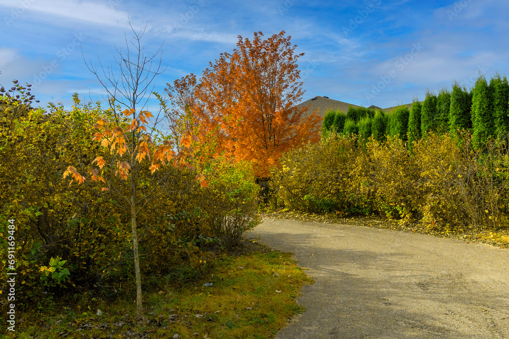 Naklejka premium Autumn maples at the entrance to the urban area
