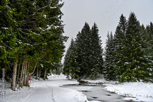 Lenzerheide, Valbella, Heidsee, Bergsee, Uferweg, Wanderweg, Winterwanderung, Langlauf, Loipe, Winterlandschaft, Seeufer, Alpen, Wald, Tannen, Eis, Winter, Graubünden, Schweiz photo