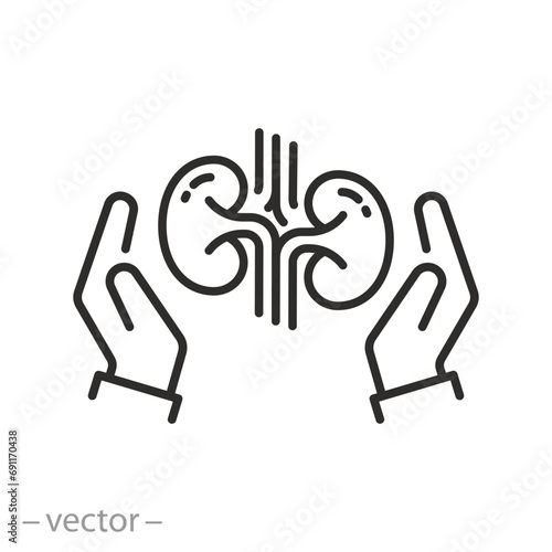 icon of kidneys care icon, hands holding urinary system, kidney concept, thin line symbol - vector illustration