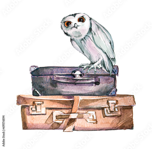 Owl sits on a suitcase. Watercolor magical travel illustration. Fairytale themed design. photo