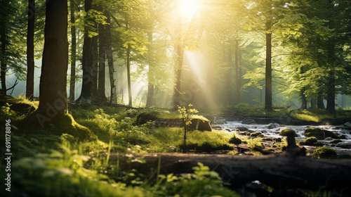 Dreamy and serene image of defocused green trees in forest with sunbeams filtering through foliage creating peaceful natural backdrop  AI Generated