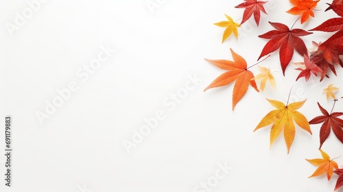 A white background is the background for a top view of autumn leaves.