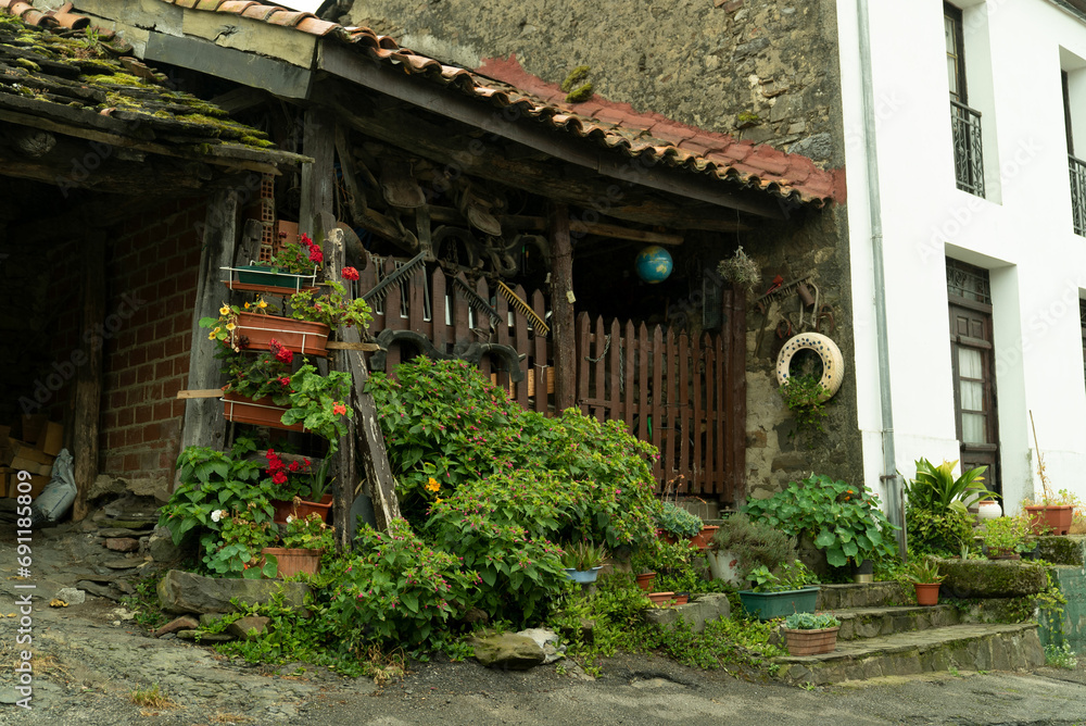 Obraz premium casa bosque