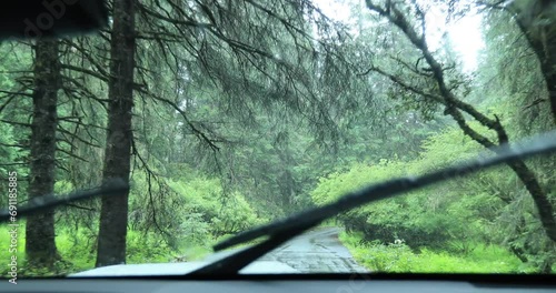 Driving car in the raining forest photo