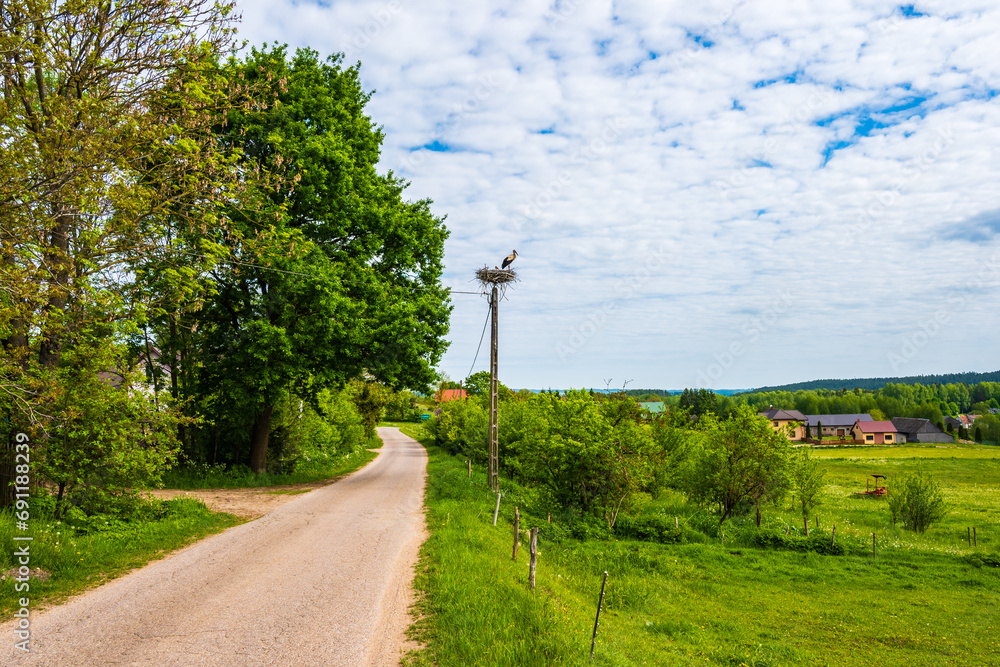 Storks in nest along road In Suwalski Landscape Park during spring season, Podlasie, Poland