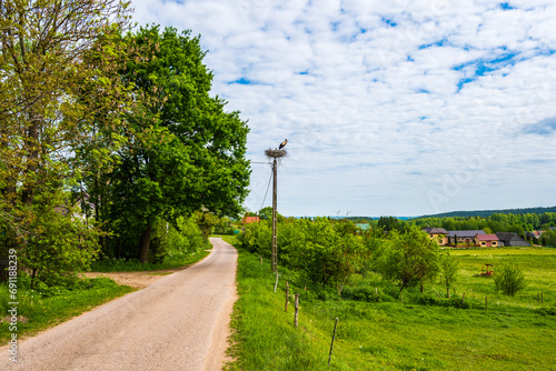 Obraz na płótnie Storks in nest along road In Suwalski Landscape Park during spring season, Podlasie, Poland w salonie