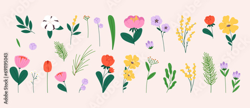 Spring blooming flowers. Isolated flower flat style, tulips and peony, chamomile and daisy. Green branches, cartoon floral vector clipart