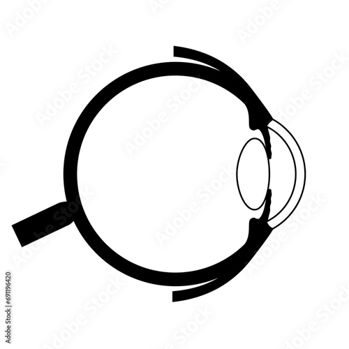 Eye anatomy poster