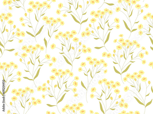 Seamless white and yellow floral pattern.  Botanical clip art. Wildflowers wreath skethc.Vector line drawn leaves and flowers branches.Vector yellow flowers. photo