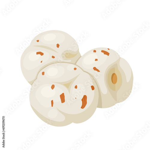 Vector illustration, makhana or fox nuts, scientific name Euryale ferox, isolated on white background.