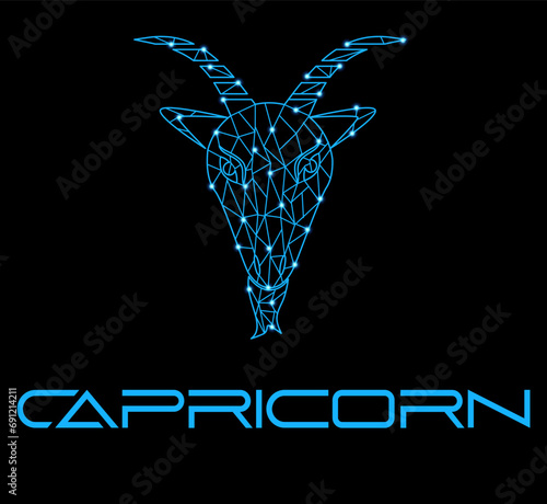 The illustration - zodiac sign in the modern style.
