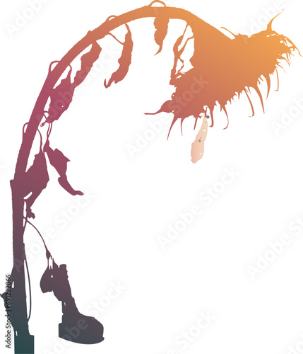 Φωτογραφία Colorful wilting sunflower silhouette