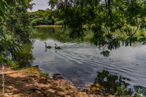 Obraz na płótnie cloudy day in Ibirapuera Park in Sao Paulo w salonie