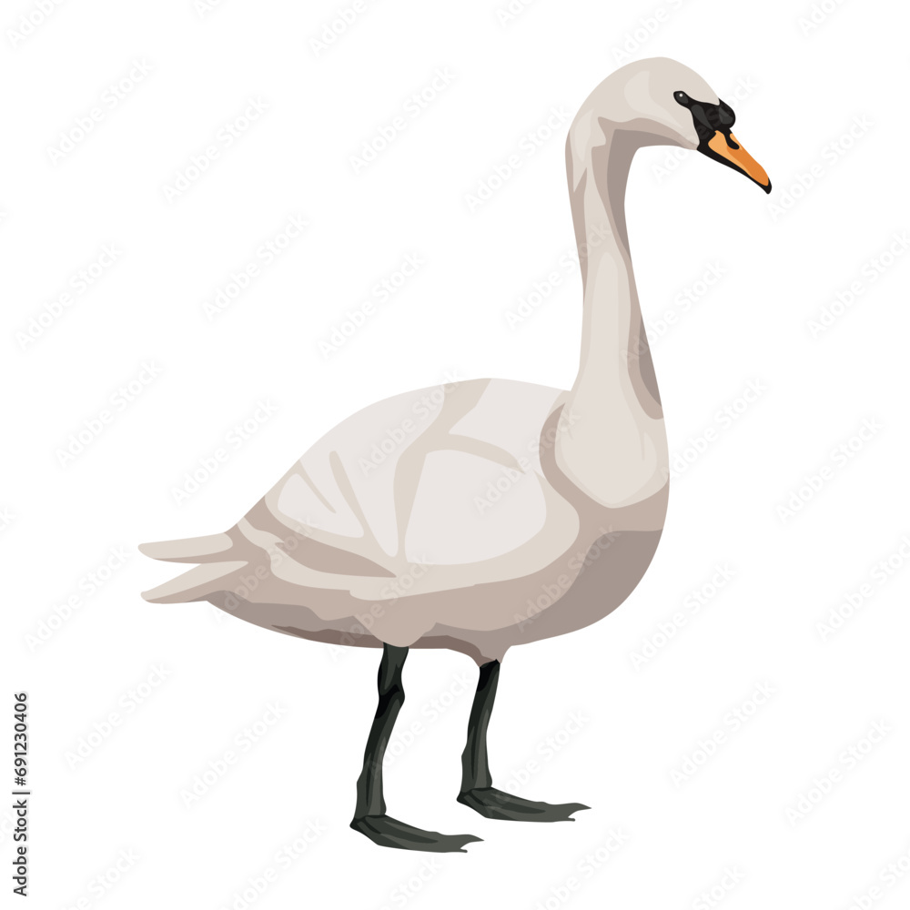Fototapeta premium goose isolated on white