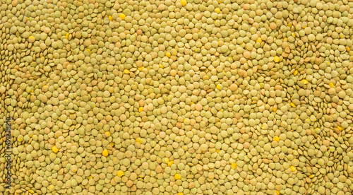 lentil grains in full screen for background photo
