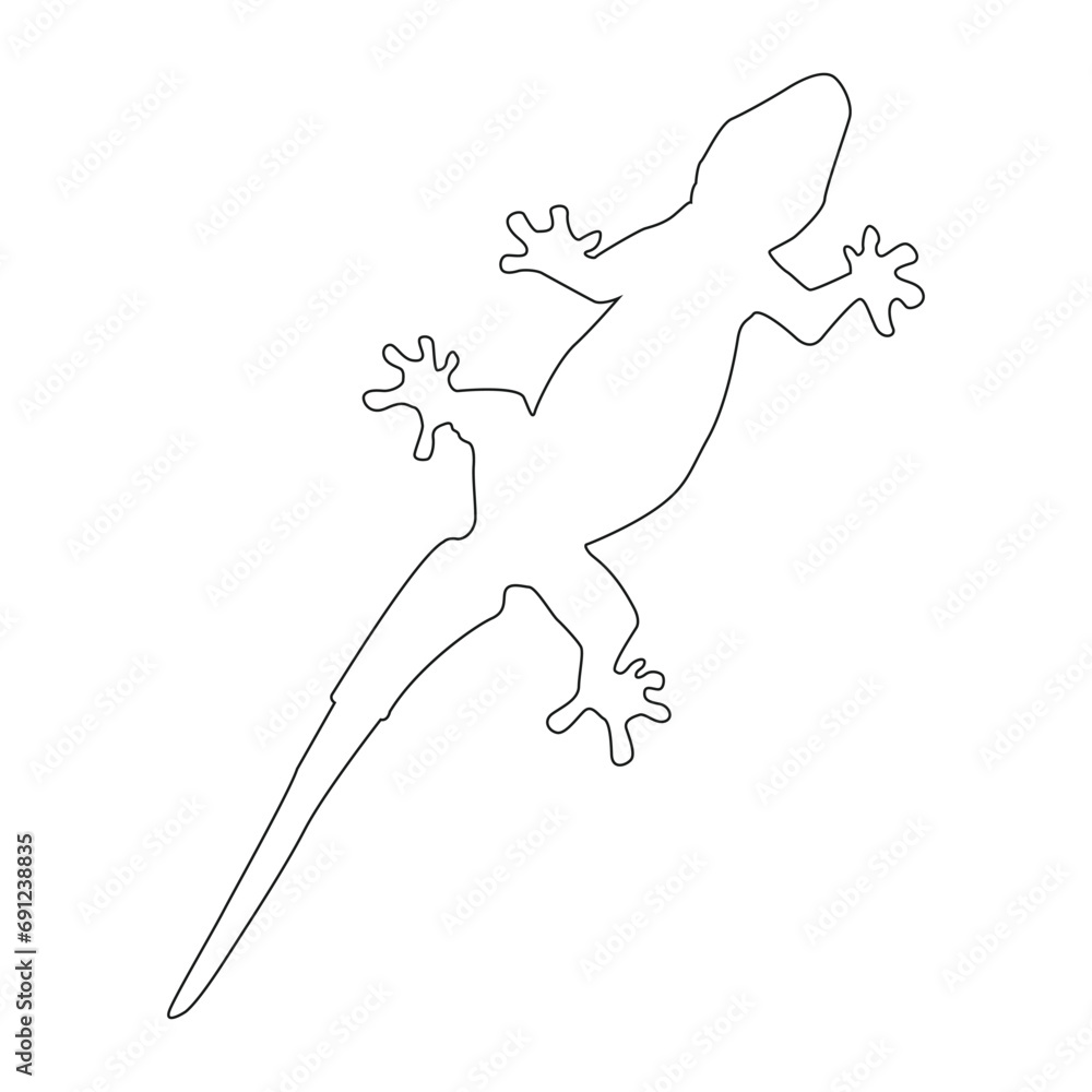 house lizard vector icon