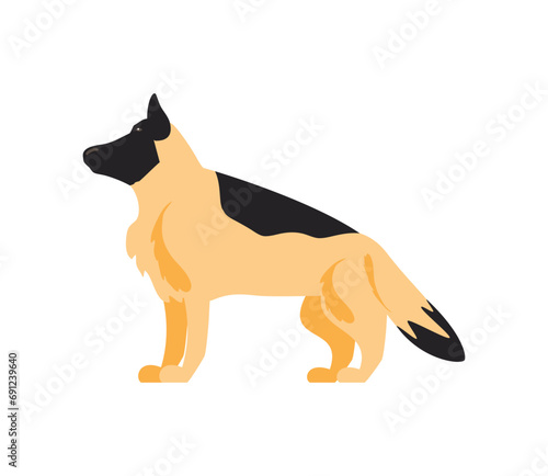 germany shepherd dog