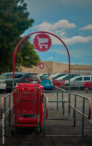shopping cart disneyland
