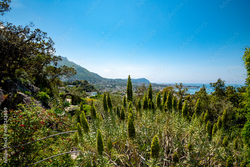 La Mortella Garden in Isola d'Ischia - Italy