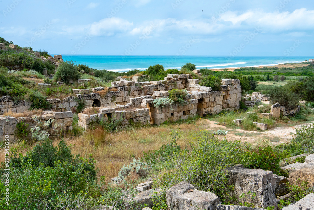 Selinunte Archaeological Park - Sicily - Italy
