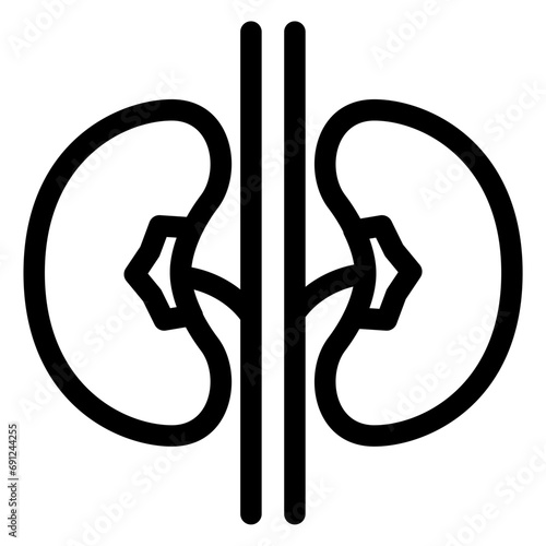 kidney 