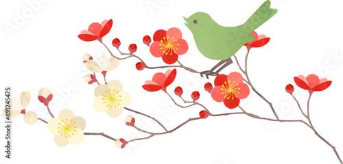 梅とウグイスのイラスト