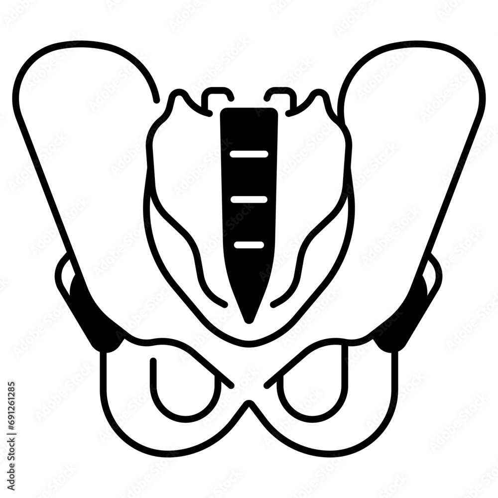 Pelvis Pelvis