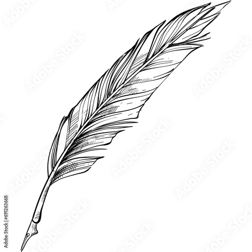 quill handdrawn illustration photo