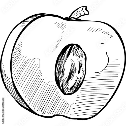 peaches handdrawn illustration