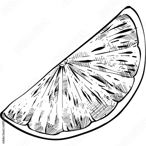 Orange fruit handdrawn illustration