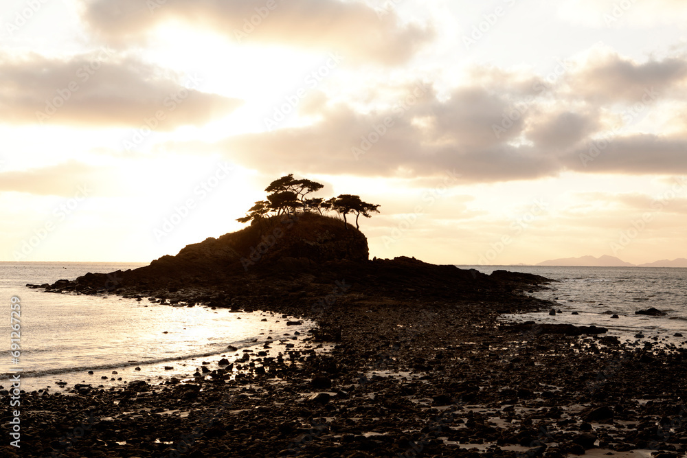 Obraz premium an island of pine trees