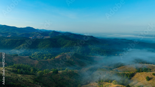 Aerial view of mountains and mixed forest. Green deciduous trees with mist clouds. The rich natural ecosystem of the rainforest concept is about conservation and natural reforestation.