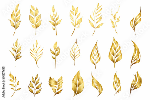 leaves nature green set design graphic seasonal plant silhouette floral collection organic illust