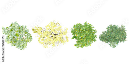 collection of ficus carica,olea europaea,tabebuia chrysantha,citrus sinensis plants from top view with transparent background, 3d rendering photo