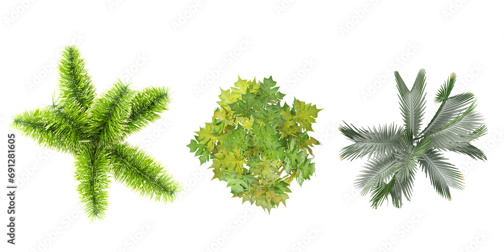 Fototapeta premium Jungle Wodyetia bifurcata,Carica papaya,Carpoxylon macrospermum trees shapes cutout 3d render from the top view