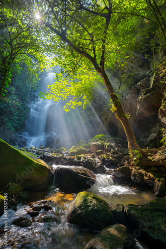 view of a secluded waterfall with sunlight shining through the leaves