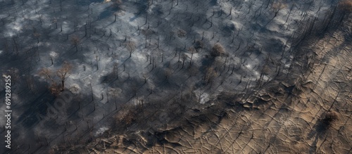 Aerial perspective of forest and field fire aftermath, showing burnt ground and black ash layer, shot from low height with downward view. photo