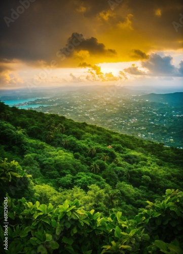 Jamaican nature