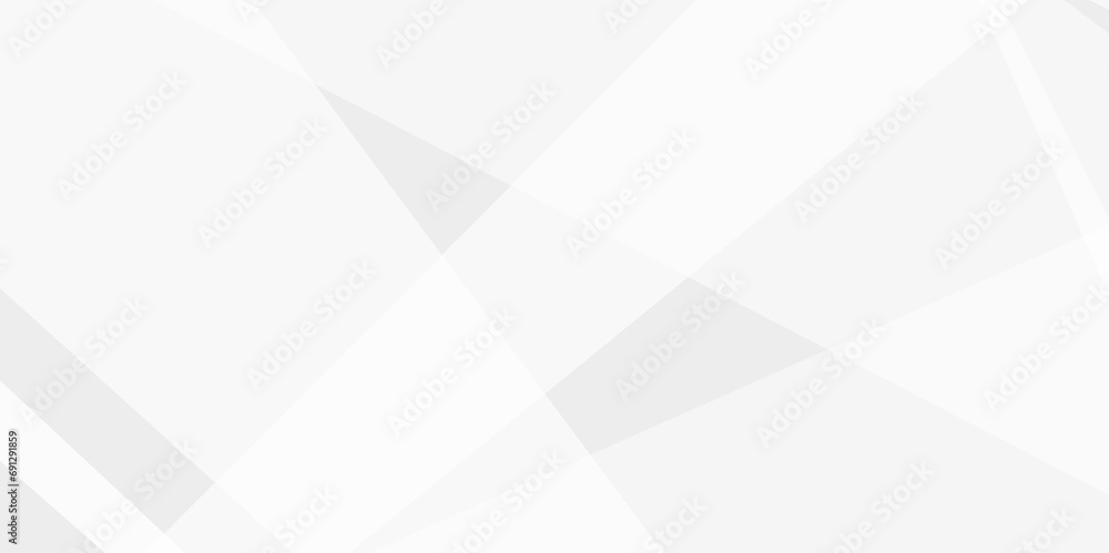 Abstract background with white and gray and geometric style with simple ...